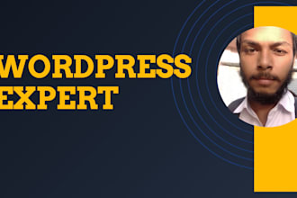 fix wordpress issues, errors, bugs, css, provide wp help