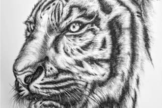 hand draw realistic animal illustrations potrait sketches