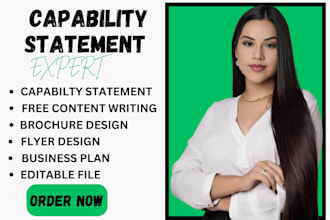 professional effective federal government capability statement design