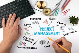 be your expert project manager for agile, business, and virtual projects
