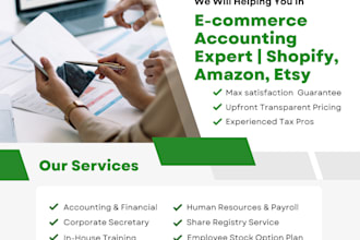 e commerce accounting expert  shopify  amazon etsy bookkeeping financial man