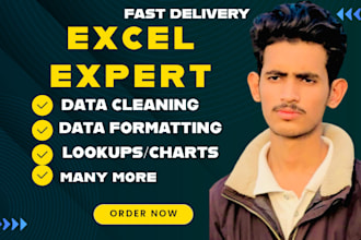 do excel data cleaning,formatting,data cleanup or csv files