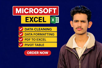 do excel data cleaning,formatting,data cleanup or csv files