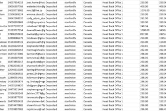 deliver forex leads, crypto leads, mlm leads, crypto emails, investor leads,