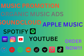 promote your spotify music, apple music to 1 million targeted organic audience