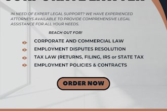be your US lawyer and legal advisor for corporate law, irs, employment law