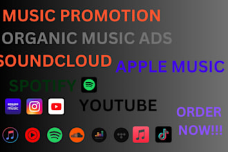 do USA targeted music promotion, youtube music promotion, channel monetization