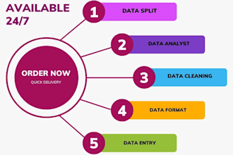 clean, format, analyst, merge, split, data entry excel
