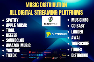 music distribution to top record label submission PR to all streaming platform