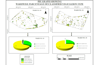 prepare cartography using satellite data