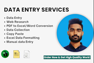 do data entry, web research, copy paste and file conversion accurately
