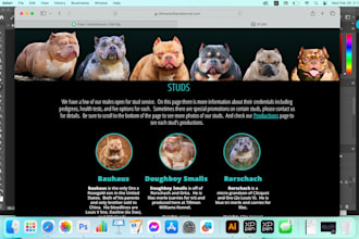 design your new website