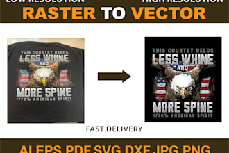 do vector tracing or any file convert to vector quickly