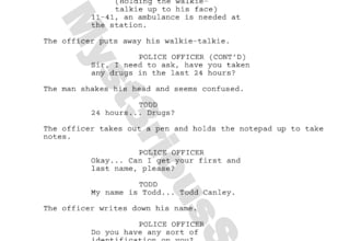 write a professional screenplay for your story