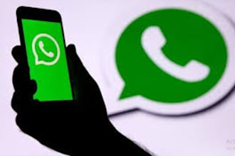 whatsapp channel member,  bulk SMS message, whatsapp ads