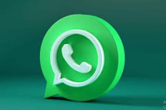 super fast whatsapp growth, followers send mass dms, bulk sms to get real member