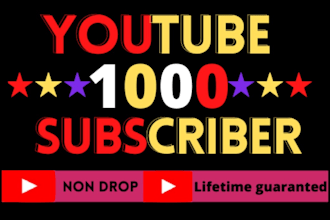 do promote your youtube channel to over 1000 USA subscriber