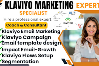klaviyo email marketing campaign management klaviyo flows setup nesletter expert