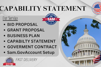 design a winning government capability statement for contracts