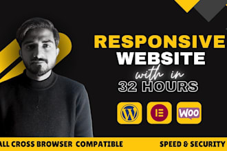 design and develop a professional wordpress website