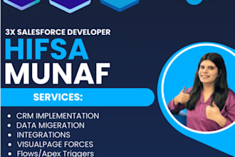 provide salesforce admin, developer, flow, consultant services