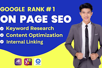 do perfect on page SEO optimization for wordpress, shopify, wix, and squarespace