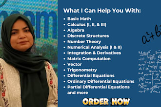 help you with high level mathematics tasks