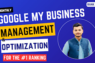 do monthly full gmb SEO management and optimization for google maps rankings
