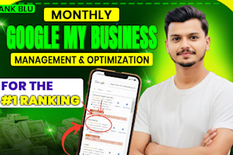 do monthly full gmb SEO management and optimization for google maps rankings