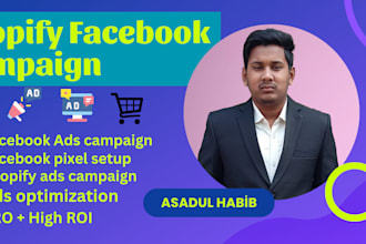 set up a shopify facebook ads campaign to maximize your ROI