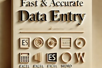 do data entry ms excel ms word and web research