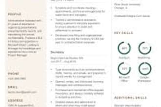 make a professional resume design and CV template