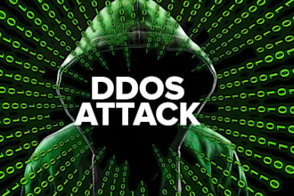 provide anti hacking and anti ddos analysis, prevention, and mitigation
