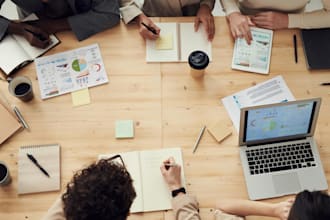 create professional business plan or investor pitch deck, with financial model
