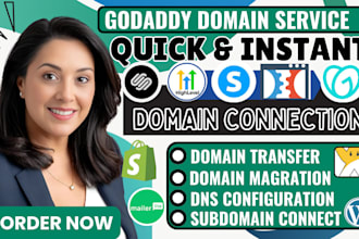 connect godaddy domain to shopify, redirect domain to namecheap, or fix dns