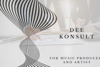 be your music business and artist development consultant