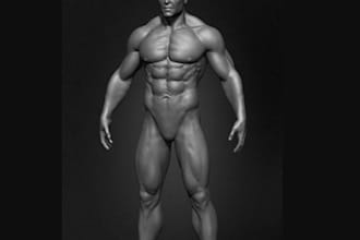 design 3d human anatomy,bony skeleton,kidney,realistic fascia texture, body part