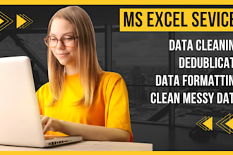 ms excel data cleaning, data merging and data formatting services