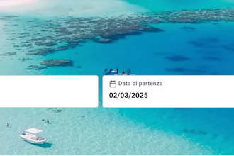 amadeus API flight booking plugin for your wordpress website