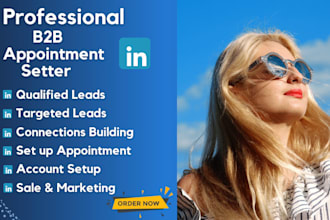 be your linkedin marketing manager, b2b b2c appointment setter