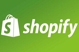 build a custom shopify store