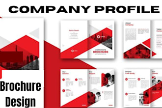 design a digital brochure,  company profile design, booklet and annual report