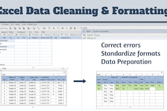 be your excel expert for data entry, cleaning and formatting