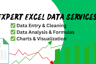 perform data entry, cleaning, analysis, and visualization in excel