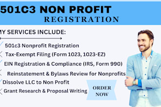 do strategy consultant for nonprofit startup, draft bylaws, form 1023 501c3, ein