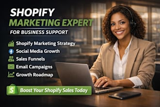 audit and create a high converting shopify sales funnel for more store sales