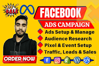 set up and manage high converting facebook and instagram ads campaigns