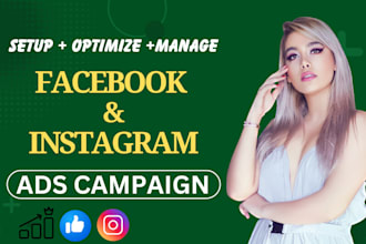 run facebook and instagram ads for high ROI and conversions