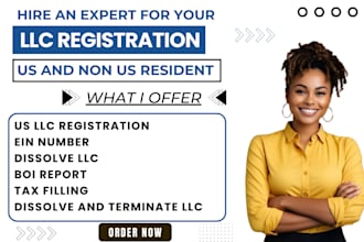 handle your llc registration, amendments, dissolution, and boi report filing
