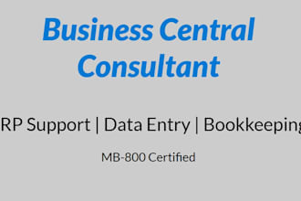 optimize and support your business central erp